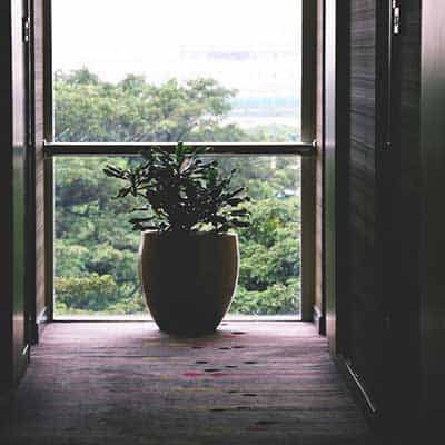 Services slide3 free img.jpg